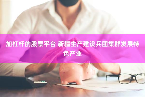 加杠杆的股票平台 新疆生产建设兵团集群发展特色产业