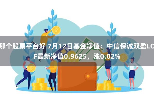 那个股票平台好 7月12日基金净值：中信保诚双盈LOF最新净值0.9625，涨0.02%