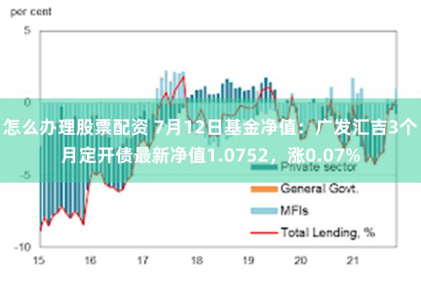 怎么办理股票配资 7月12日基金净值：广发汇吉3个月定开债最新净值1.0752，涨0.07%