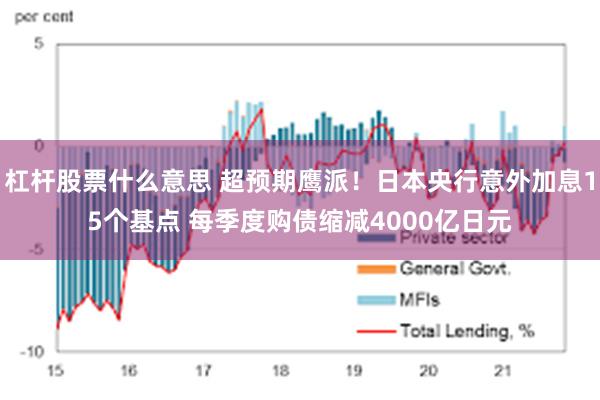 杠杆股票什么意思 超预期鹰派！日本央行意外加息15个基点 每季度购债缩减4000亿日元