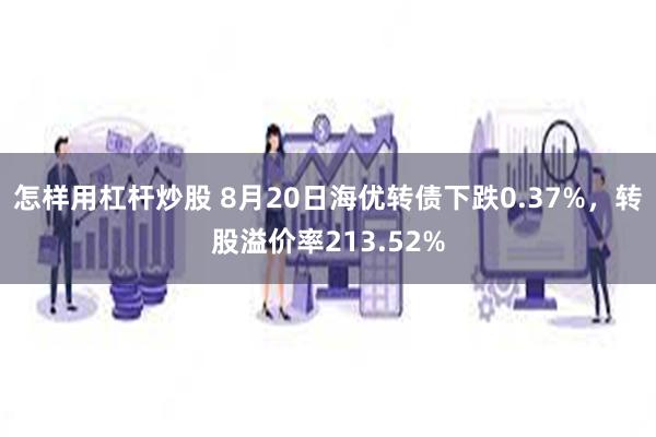 怎样用杠杆炒股 8月20日海优转债下跌0.37%，转股溢价率213.52%