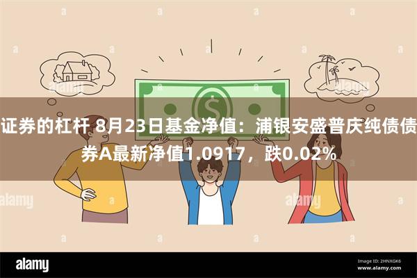 证券的杠杆 8月23日基金净值：浦银安盛普庆纯债债券A最新净值1.0917，跌0.02%