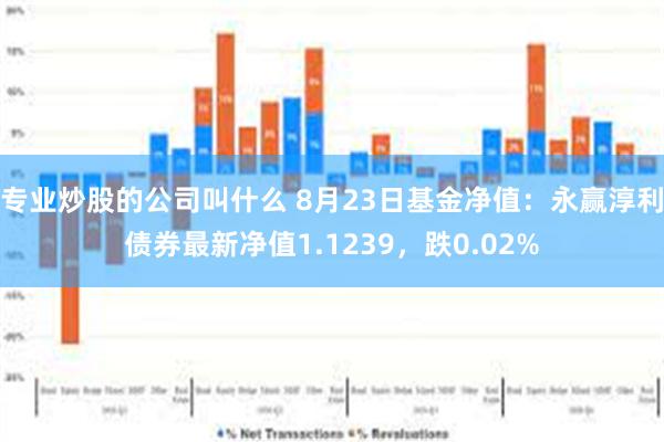 专业炒股的公司叫什么 8月23日基金净值：永赢淳利债券最新净值1.1239，跌0.02%