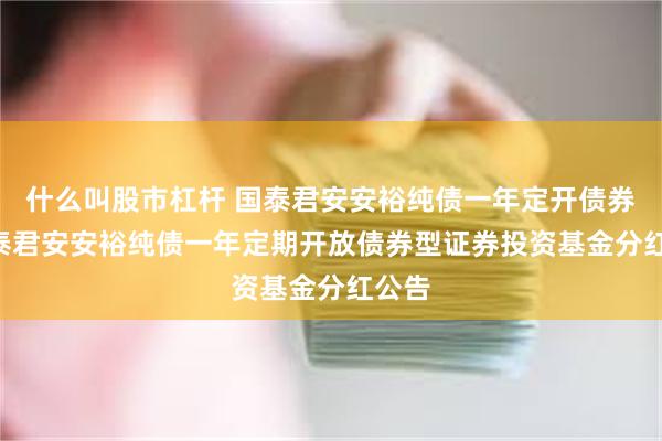 什么叫股市杠杆 国泰君安安裕纯债一年定开债券: 国泰君安安裕纯债一年定期开放债券型证券投资基金分红公告