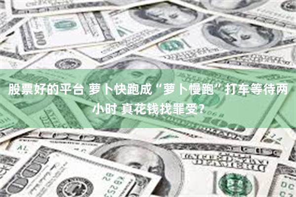 股票好的平台 萝卜快跑成“萝卜慢跑”打车等待两小时 真花钱找罪受？