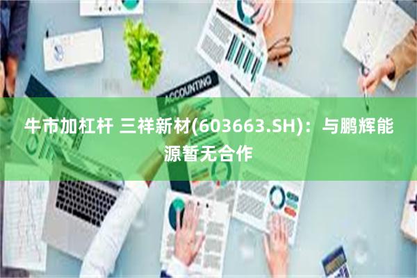 牛市加杠杆 三祥新材(603663.SH)：与鹏辉能源暂无合作