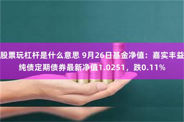 股票玩杠杆是什么意思 9月26日基金净值：嘉实丰益纯债定期债券最新净值1.0251，跌0.11%