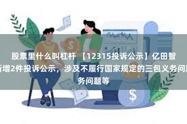 股票里什么叫杠杆 【12315投诉公示】亿田智能新增2件投诉公示，涉及不履行国家规定的三包义务问题等