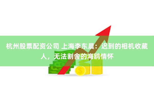 杭州股票配资公司 上海李东晨：迟到的相机收藏人，无法割舍的海鸥情怀
