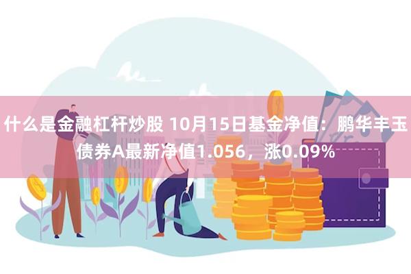 什么是金融杠杆炒股 10月15日基金净值：鹏华丰玉债券A最新净值1.056，涨0.09%