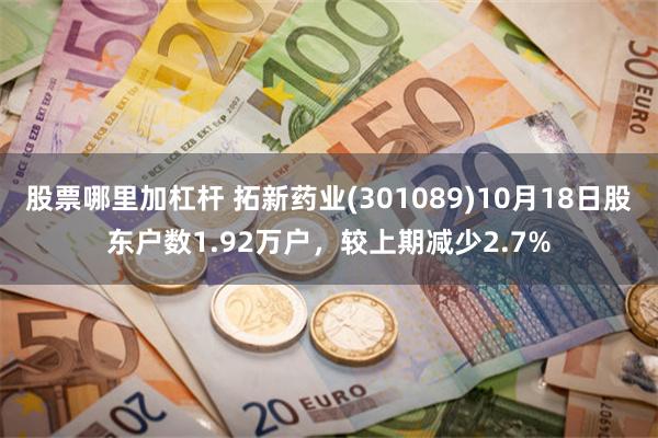 股票哪里加杠杆 拓新药业(301089)10月18日股东户数1.92万户，较上期减少2.7%