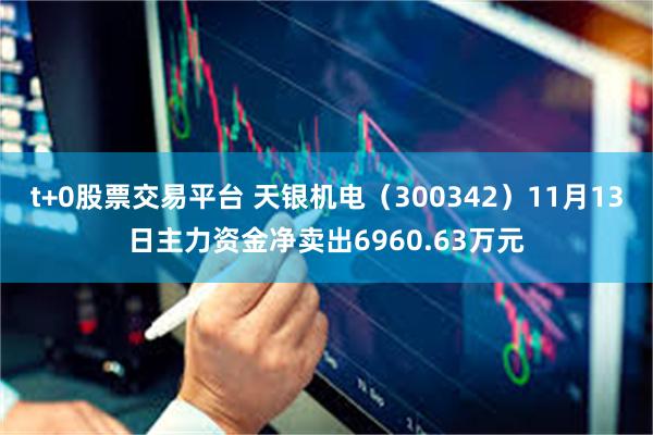 t+0股票交易平台 天银机电（300342）11月13日主力资金净卖出6960.63万元