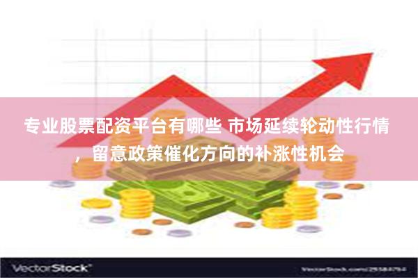 专业股票配资平台有哪些 市场延续轮动性行情 ，留意政策催化方向的补涨性机会