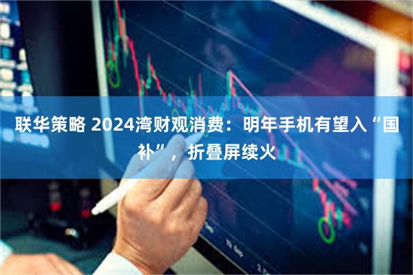 联华策略 2024湾财观消费：明年手机有望入“国补”，折叠屏续火