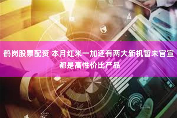 鹤岗股票配资 本月红米一加还有两大新机暂未官宣 都是高性价比产品