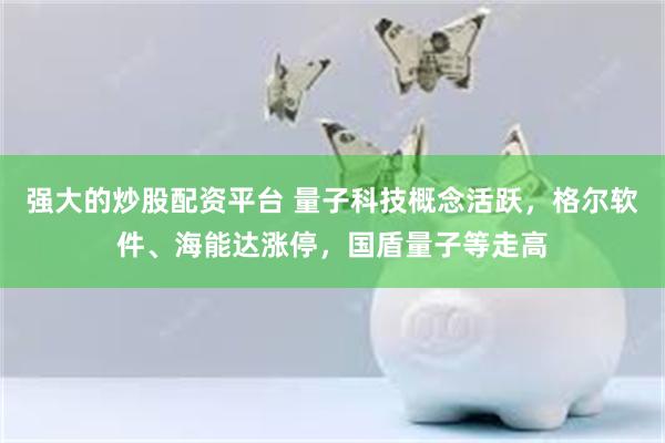 强大的炒股配资平台 量子科技概念活跃，格尔软件、海能达涨停，国盾量子等走高