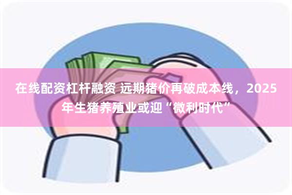 在线配资杠杆融资 远期猪价再破成本线，2025年生猪养殖业或迎“微利时代”