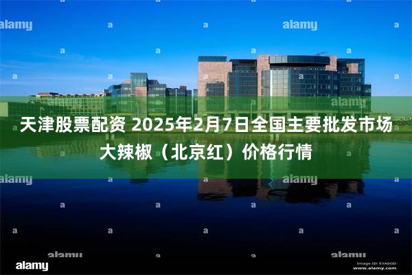 天津股票配资 2025年2月7日全国主要批发市场大辣椒（北京红）价格行情