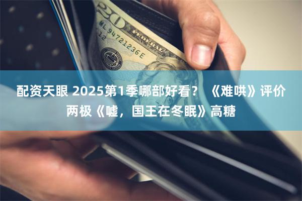 配资天眼 2025第1季哪部好看？ 《难哄》评价两极《嘘，国王在冬眠》高糖