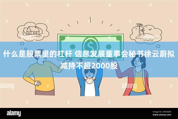 什么是股票里的杠杆 信息发展董事会秘书徐云蔚拟减持不超2000股