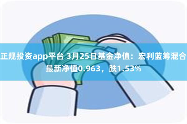 正规投资app平台 3月25日基金净值：宏利蓝筹混合最新净值0.963，跌1.53%