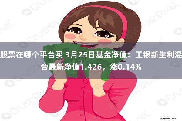 股票在哪个平台买 3月25日基金净值：工银新生利混合最新净值1.426，涨0.14%