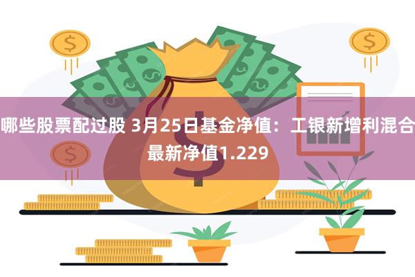 哪些股票配过股 3月25日基金净值：工银新增利混合最新净值1.229
