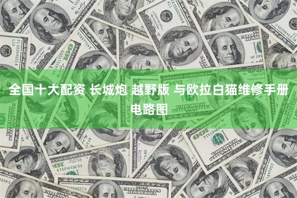 全国十大配资 长城炮 越野版 与欧拉白猫维修手册电路图