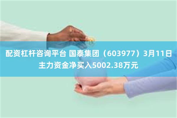配资杠杆咨询平台 国泰集团（603977）3月11日主力资金