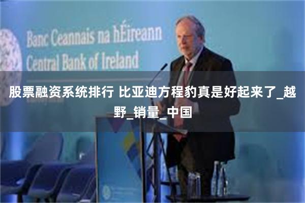 股票融资系统排行 比亚迪方程豹真是好起来了_越野_销量_中国