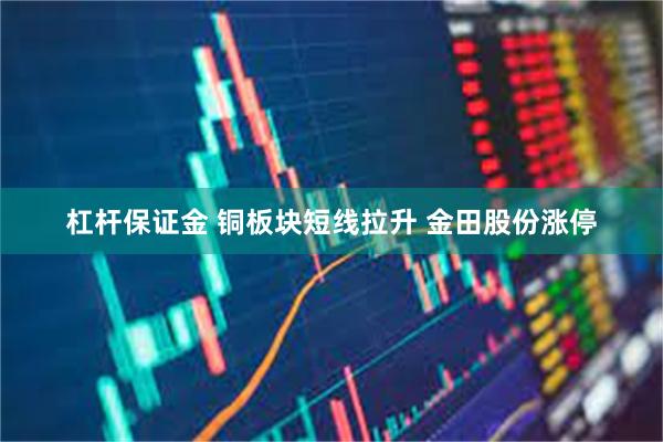 杠杆保证金 铜板块短线拉升 金田股份涨停