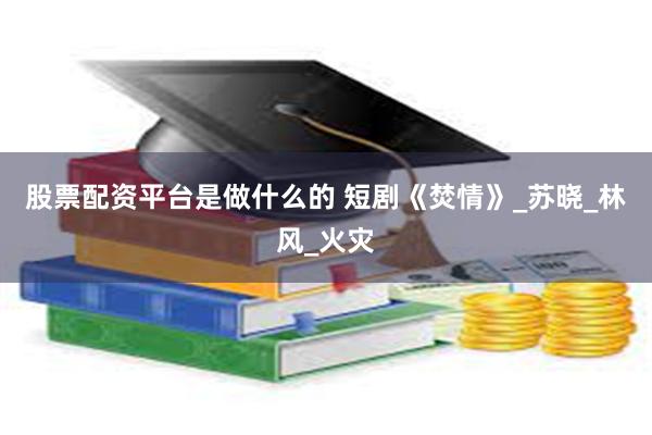 股票配资平台是做什么的 短剧《焚情》_苏晓_林风_火灾